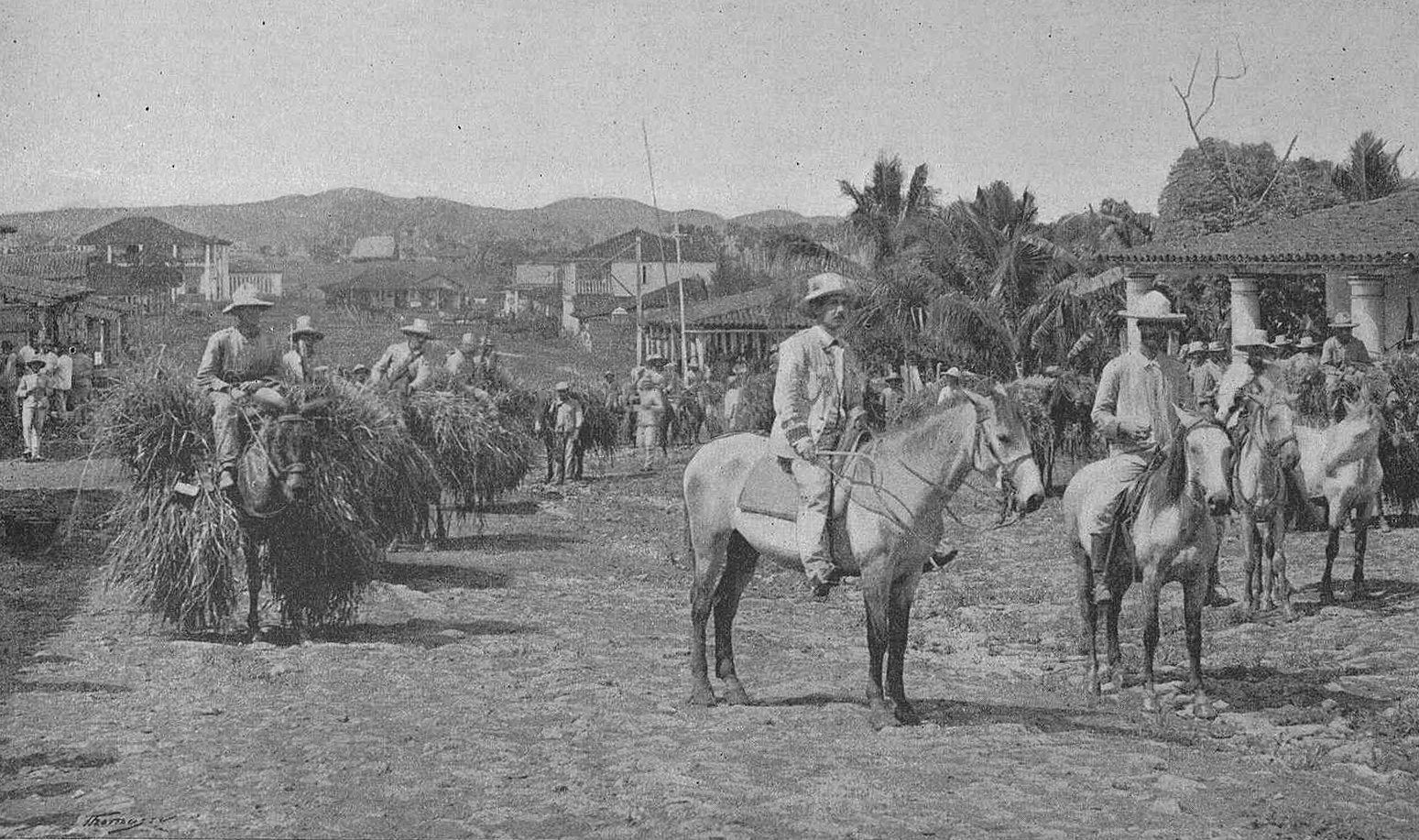 Spanish troops in Cuba, 1897