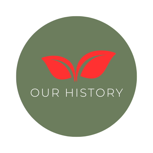 Our history logo