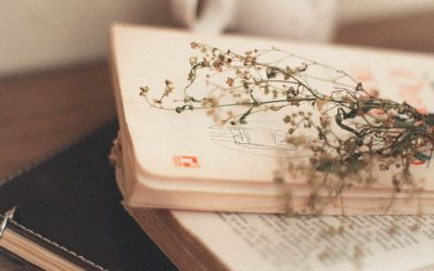 green leaf on pile of books