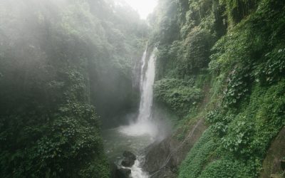 amazing waterfall with lush foliage on rocks