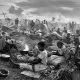 Rwanda genocide